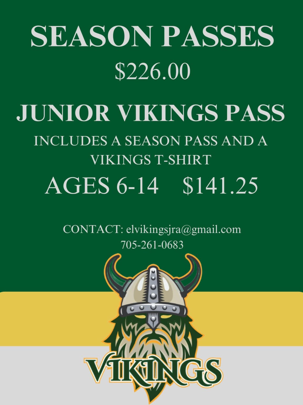 2024 Vikings Season Tickets Patti Berenice